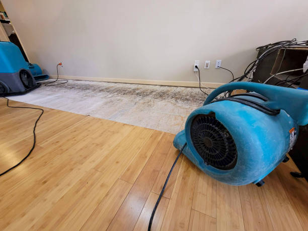 Professional Water Damage Repair technician working in Lindenhurst, NY